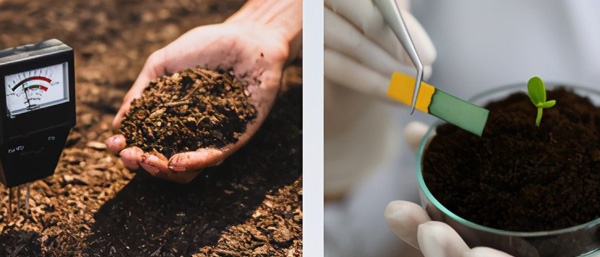 沈陽環境檢測分為哪幾類?