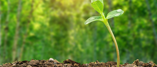 土壤監測布點來了,關于沈陽第三方檢測遼寧機構的布設技術方法需要了解!