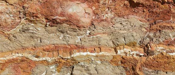 沈陽第三方檢測遼寧機構關于土壤和沉積物、污泥、固廢