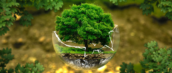 遼寧第三方檢測機構提示找第三方檢測機構委托時需要查看資質?