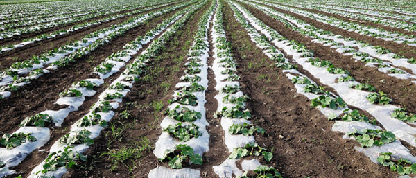 什么是廢水廢氣土壤檢測(cè)?沈陽(yáng)第三方檢測(cè)機(jī)構(gòu)告訴您。