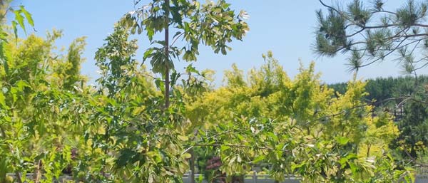 沈陽水質檢測公司有哪些水質檢測服務優點 沈陽水質檢測公司有哪些水質檢測服務優點