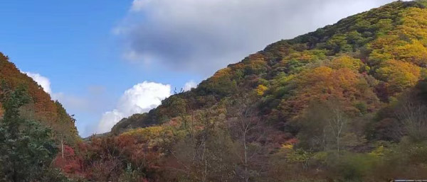 沈陽固廢檢測公司服務類型一覽