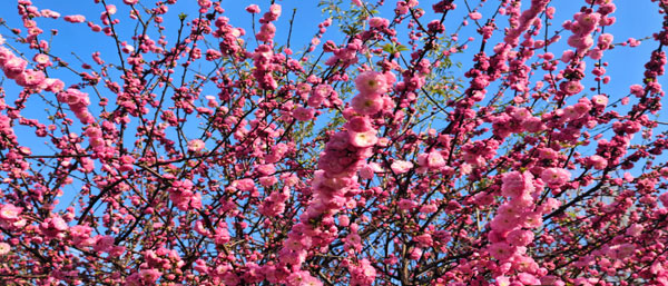 沈陽環境監測機構的環境檢測服務類型