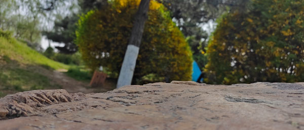 沈陽顆粒物自動(dòng)監(jiān)測(cè)系統(tǒng)及空氣中顆粒物的潛在危害