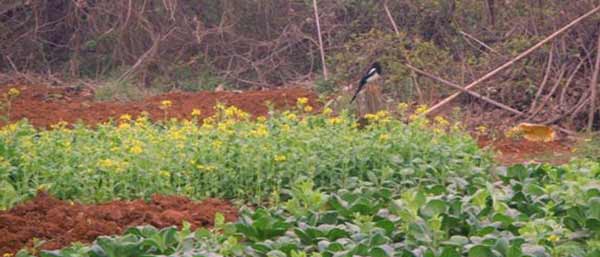 沈陽環(huán)境檢測 沈陽環(huán)境檢測