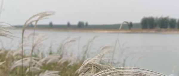 沈陽第三方水質檢測機構優勢解析:可靠,服務全面