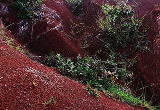 土壤檢測(cè)項(xiàng)目二